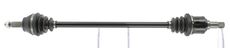 CEVAM 5271