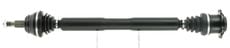 CEVAM 5338