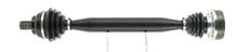 CEVAM 5339