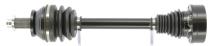 CEVAM 5356
