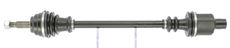 CEVAM 5361