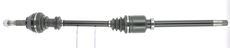 CEVAM 5487