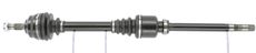 CEVAM 5497