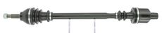 CEVAM 5503