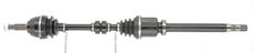 CEVAM 5532