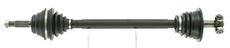 CEVAM 5538