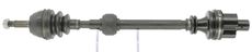 CEVAM 5539