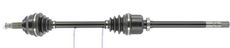 CEVAM 5583