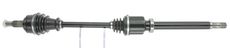 CEVAM 5590