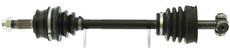 CEVAM 5636