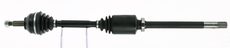 CEVAM 5852