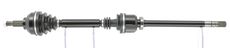 CEVAM 5854