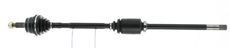 CEVAM 5859