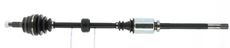 CEVAM 5861