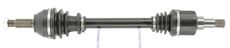 CEVAM 5904
