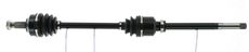 CEVAM 5917