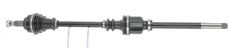 CEVAM 5923