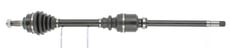 CEVAM 5937