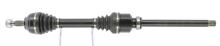 CEVAM 7081