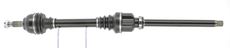 CEVAM 7955