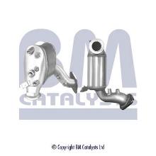BM CATALYSTS BM11113