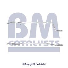 BM CATALYSTS BM50318
