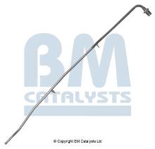 BM CATALYSTS PP11007A