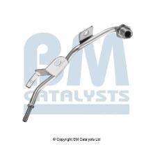 BM CATALYSTS PP11060A