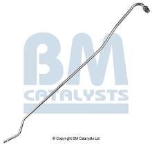 BM CATALYSTS PP11080B
