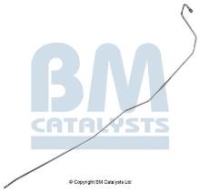 BM CATALYSTS PP11091B