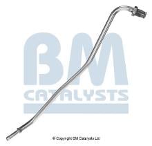 BM CATALYSTS PP11179A