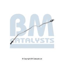 BM CATALYSTS PP11187A