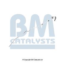 BM CATALYSTS PP11187B