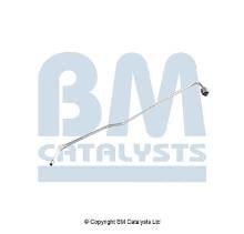BM CATALYSTS PP11191A