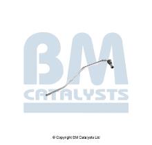 BM CATALYSTS PP11192A