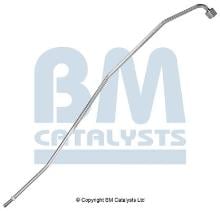 BM CATALYSTS PP11208B
