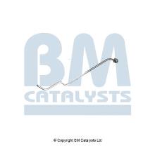 BM CATALYSTS PP11256B