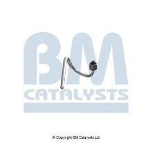 BM CATALYSTS PP11264A
