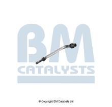 BM CATALYSTS PP11509B