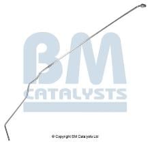 BM CATALYSTS PP11594B