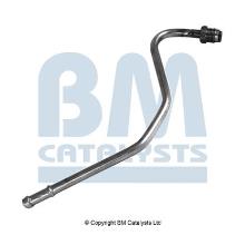 BM CATALYSTS PP11695A