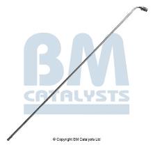 BM CATALYSTS PP31037A