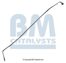 BM CATALYSTS PP31038B