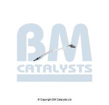 BM CATALYSTS PP31073A