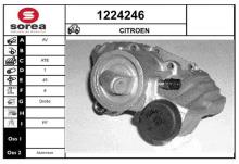 SNRA 1224246