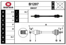 SNRA B1207