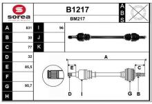 SNRA B1217