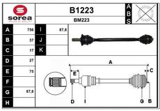 SNRA B1223