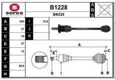 SNRA B1228