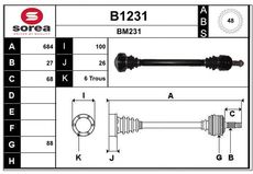 SNRA B1231